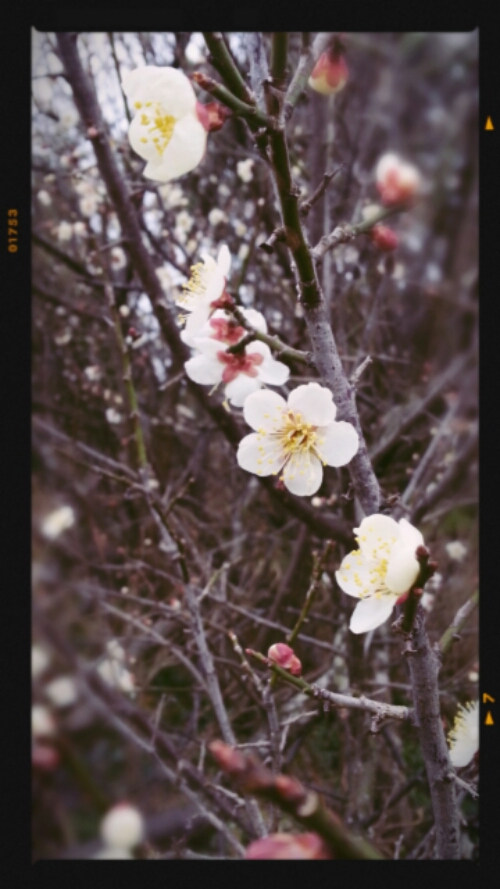 2015-02-23-07-44-58_deco.jpg image